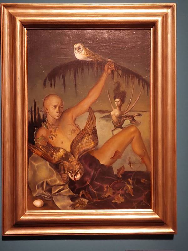 Leonor Fini: L’Homme aux chouettes